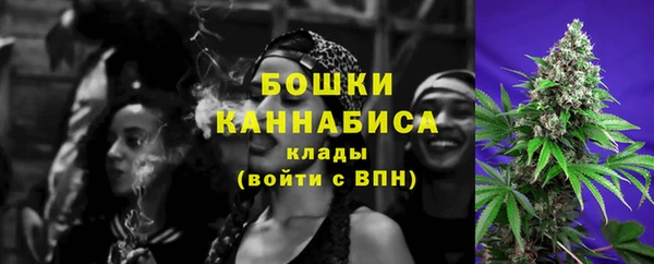 молекула духа Вязьма
