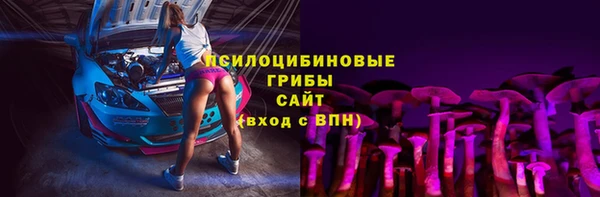 молекула духа Вязьма