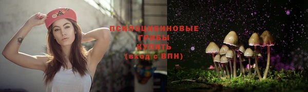 молекула духа Вязьма