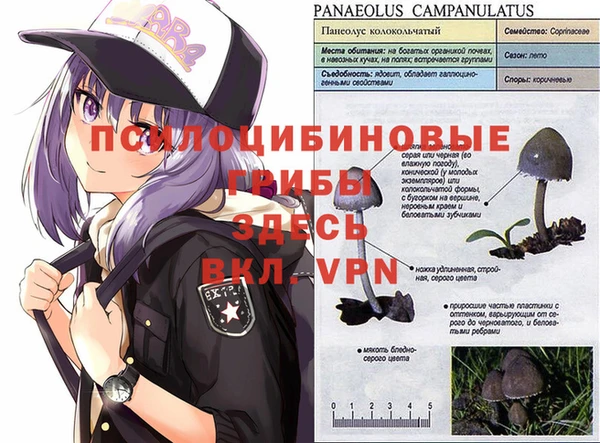 ALPHA PVP Вяземский