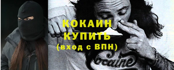 молекула духа Вязьма