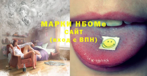 гашик Пересвет
