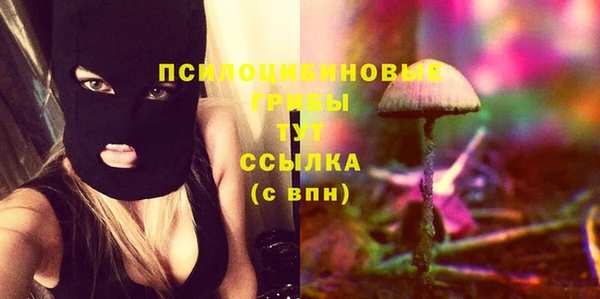 молекула духа Вязьма