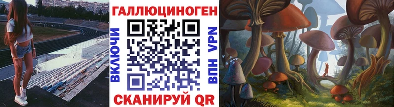 Купить где  Яхрома  Псилоцибиновые грибы Psilocybine cubensis 